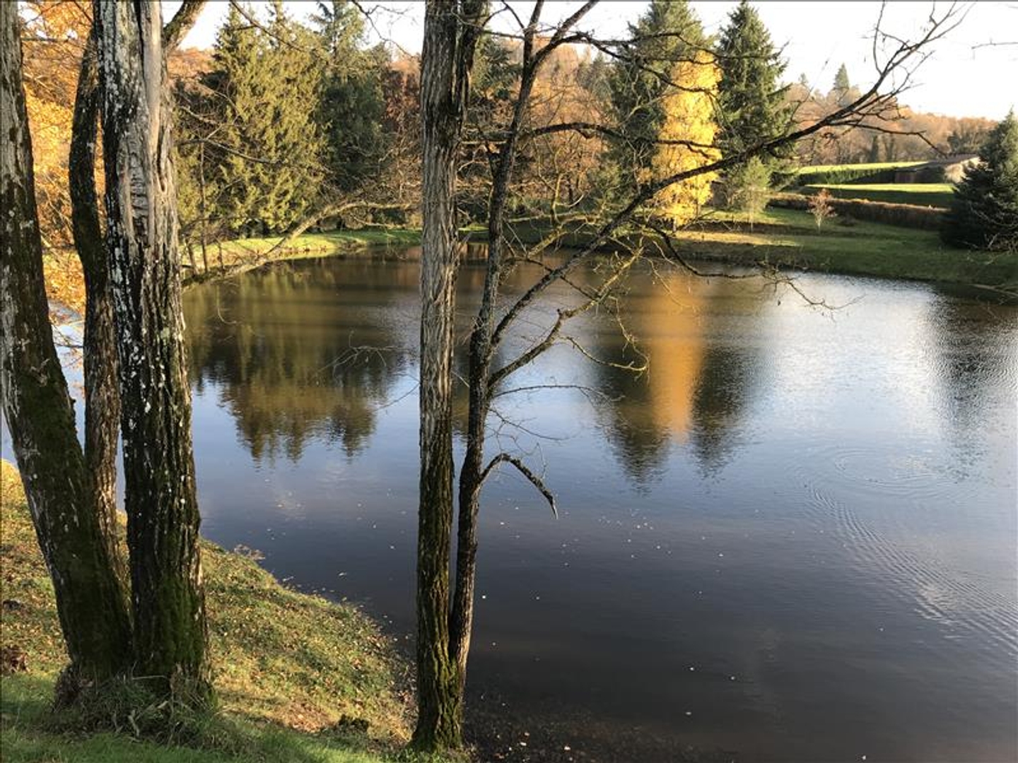 Terrain à bâtir de 0 pièces principales