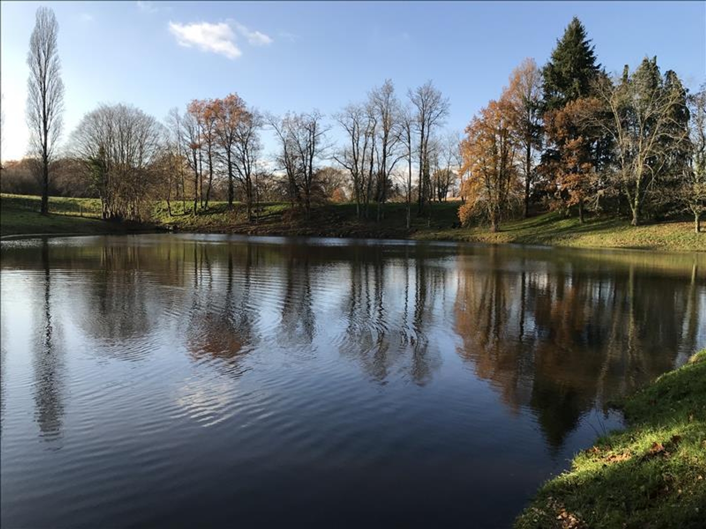 Terrain à vendre - 9963m2 - Saint-Léger-Bride... (23300)