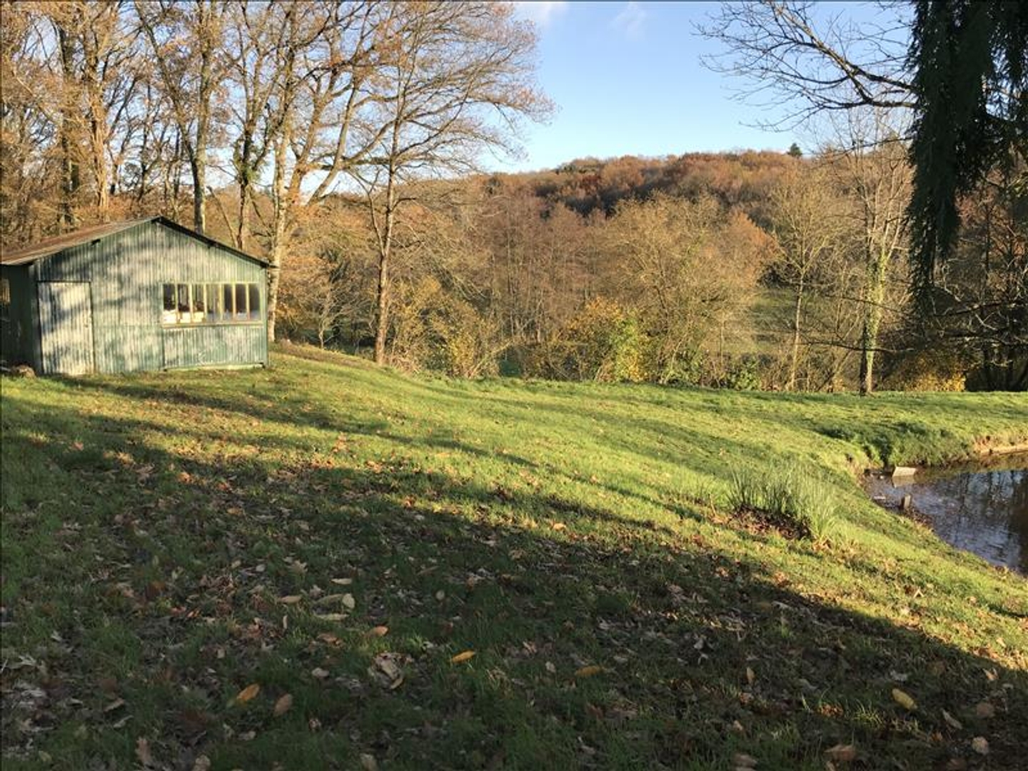 Terrain à vendre - 9963m2 - Saint-Léger-Bride... (23300)