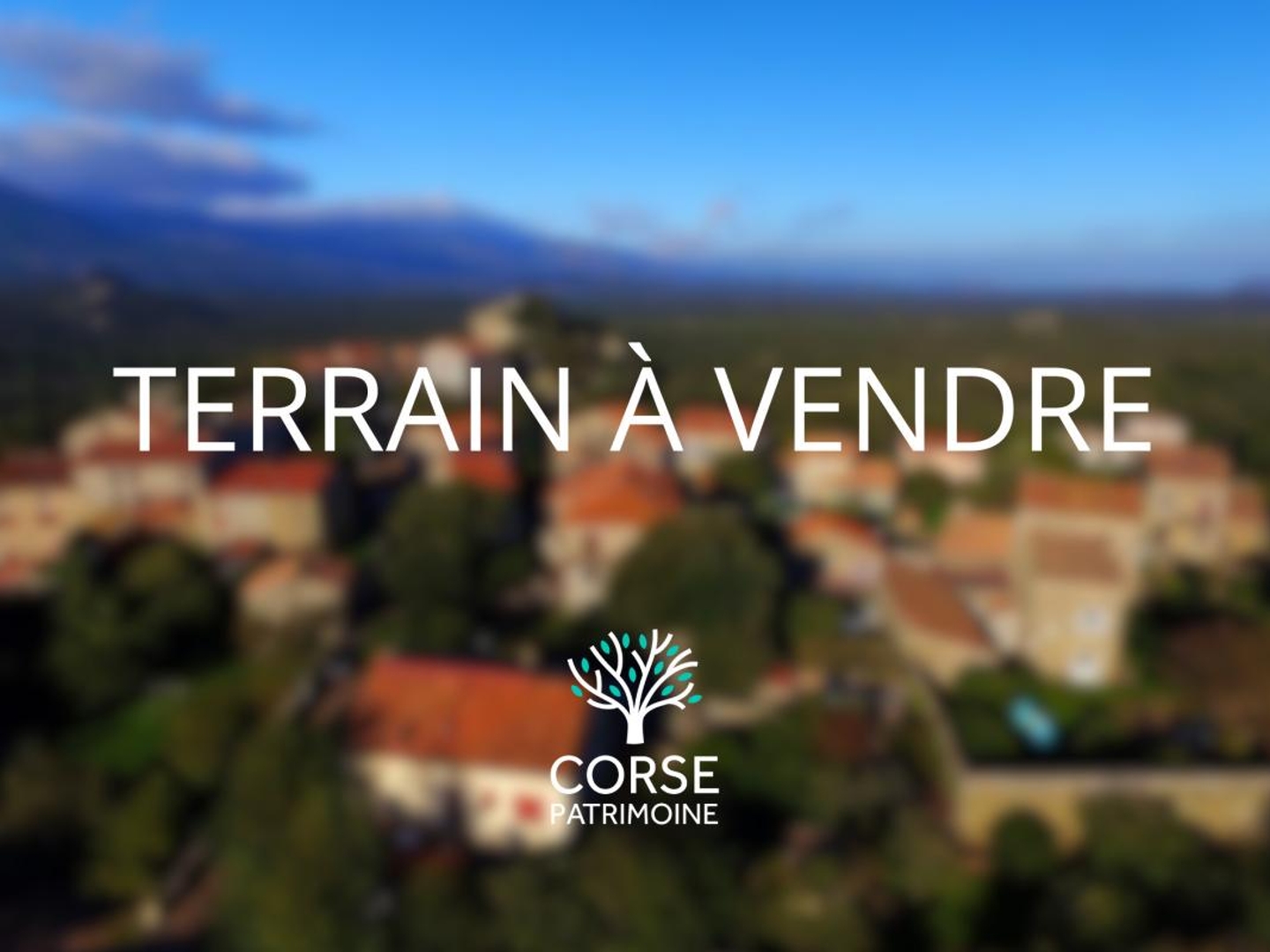 Terrain en individuel 1280 m²