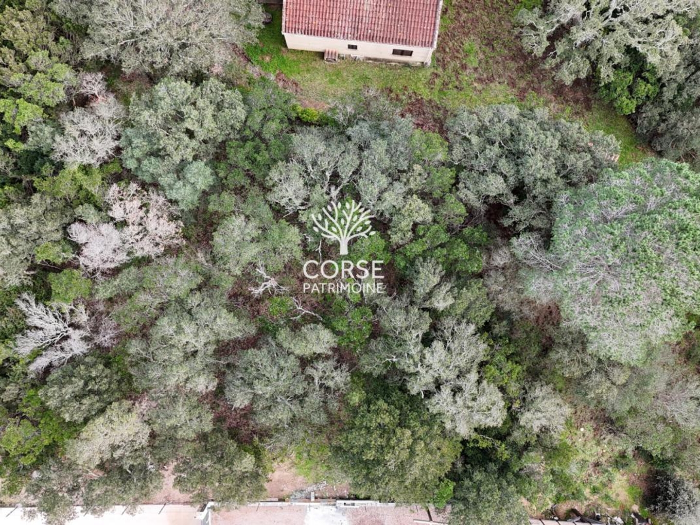 Terrain à vendre - 1280m2 - Sotta (20146)