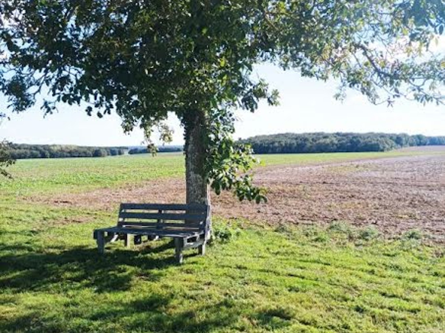 Terrain 1501 m²
