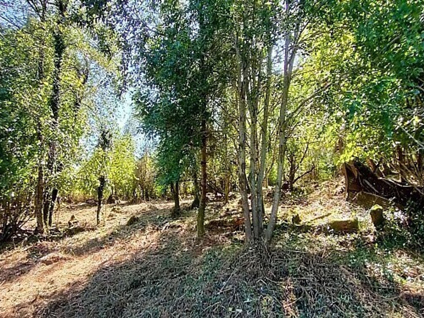 Terrain en individuel 7280 m²