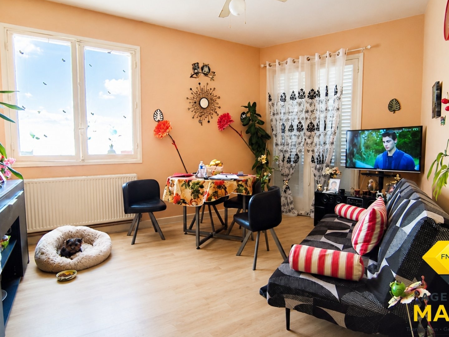 Appartement T2 LOUE - Quartier de France