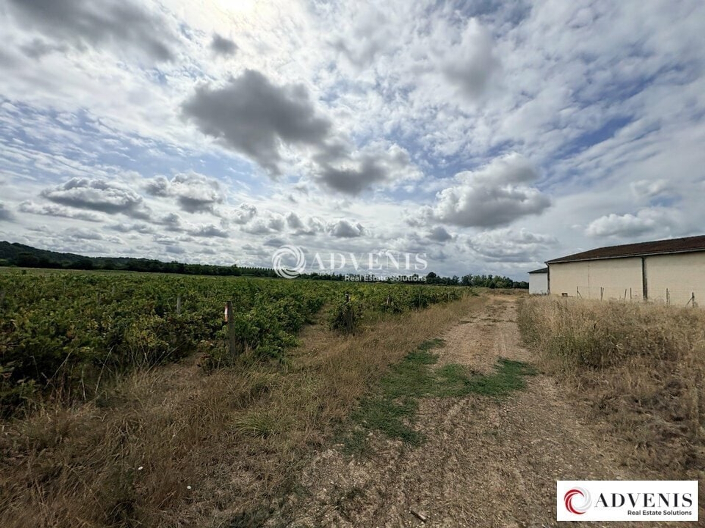 LOCAL D'ACTIVITE A VENDRE