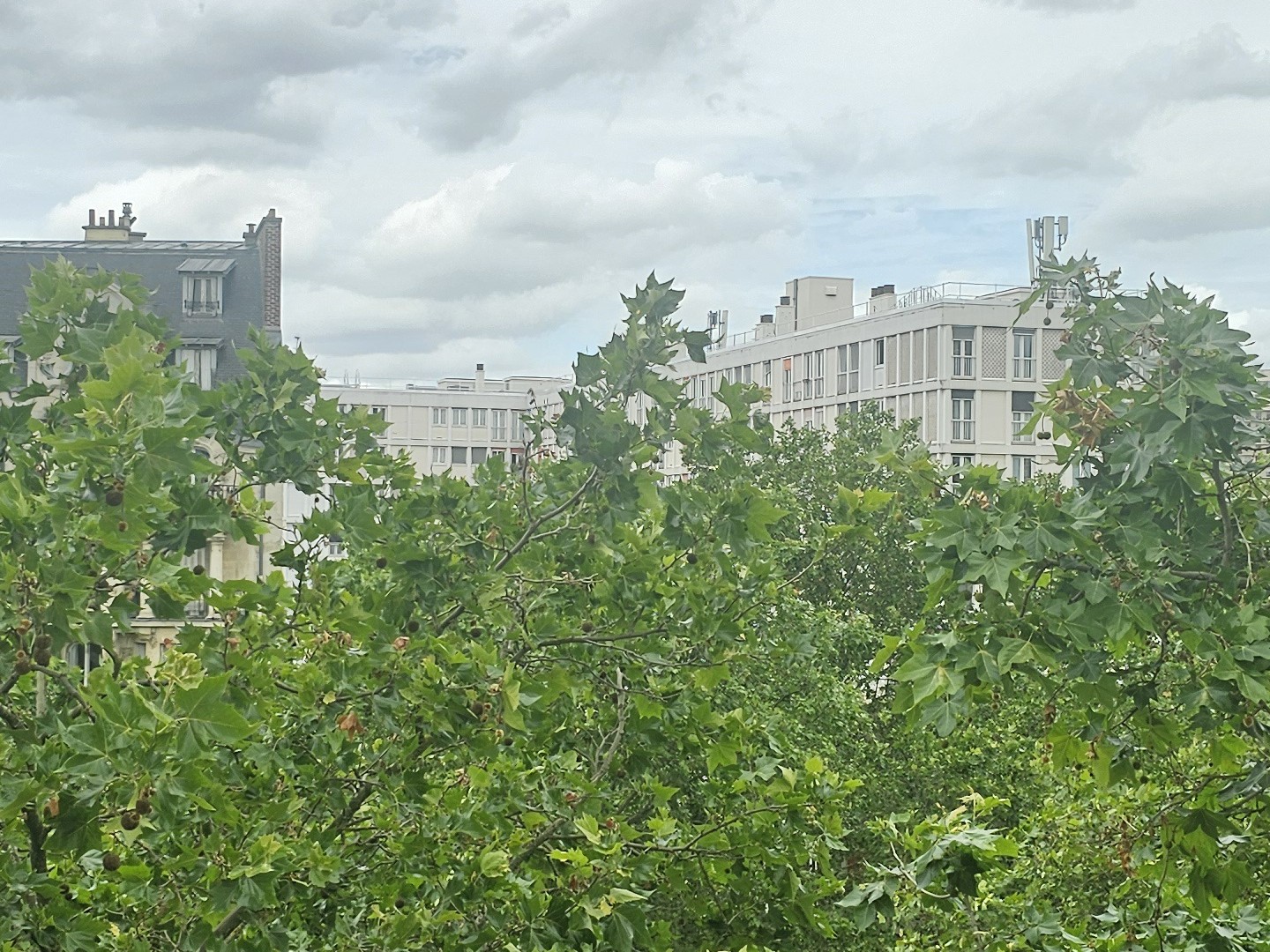 Appartement 1 pièce 28 m²