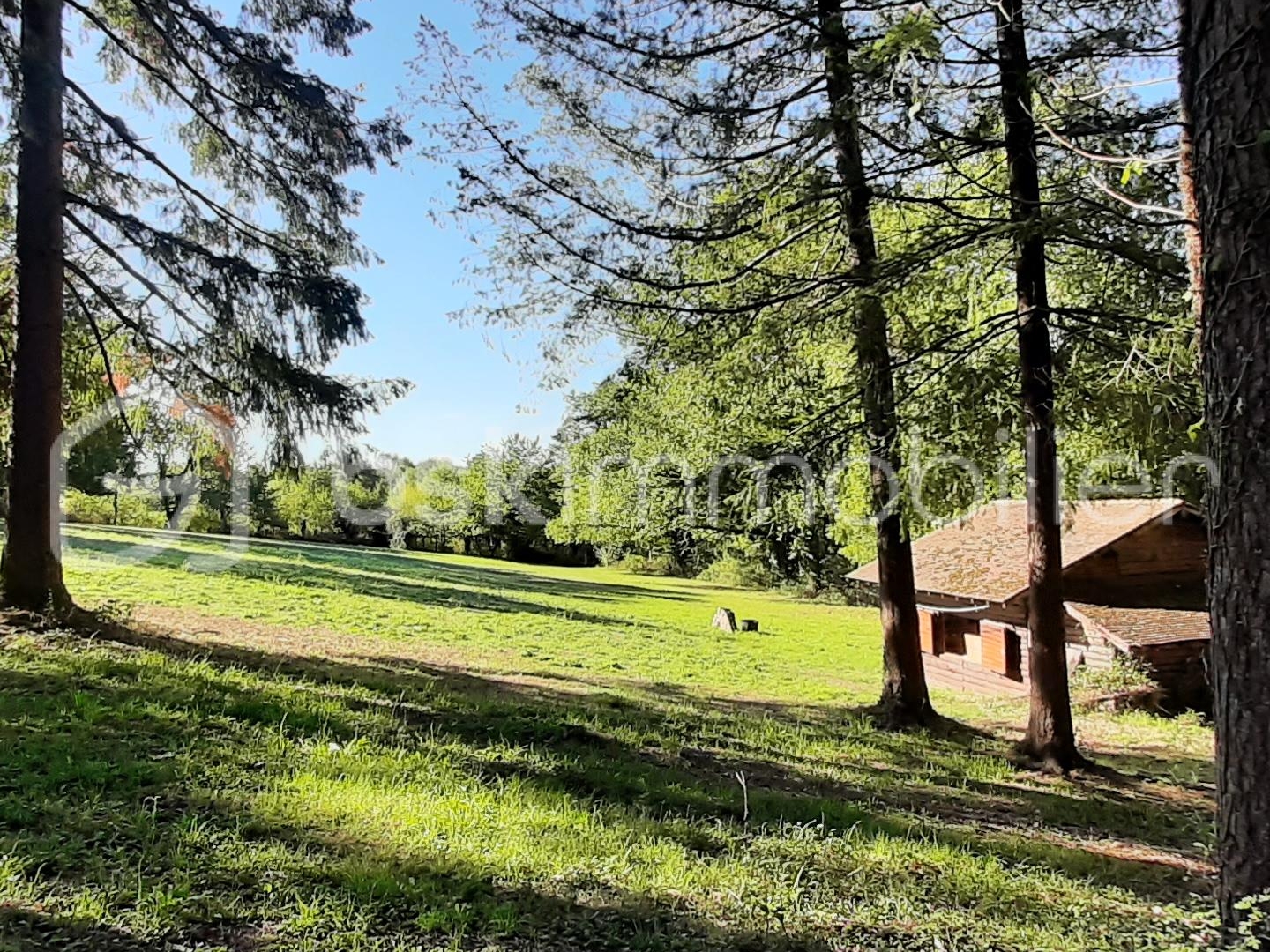 Terrain 39169 m²