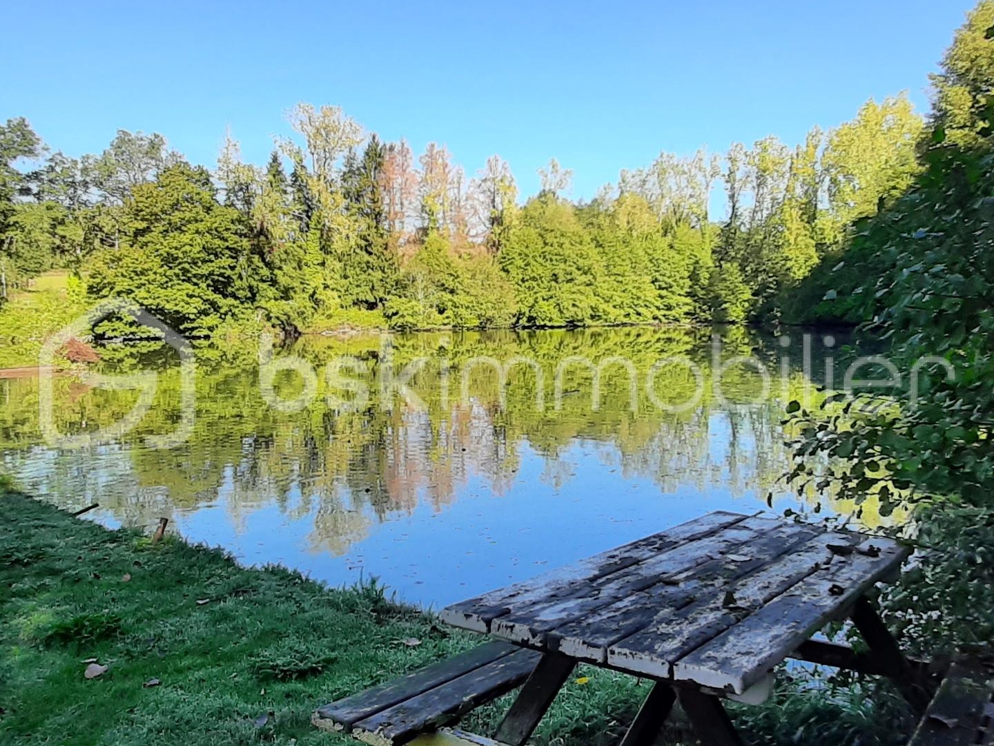 Terrain à vendre - 39169m2 - Chaillac-Sur-Vienne (87200)
