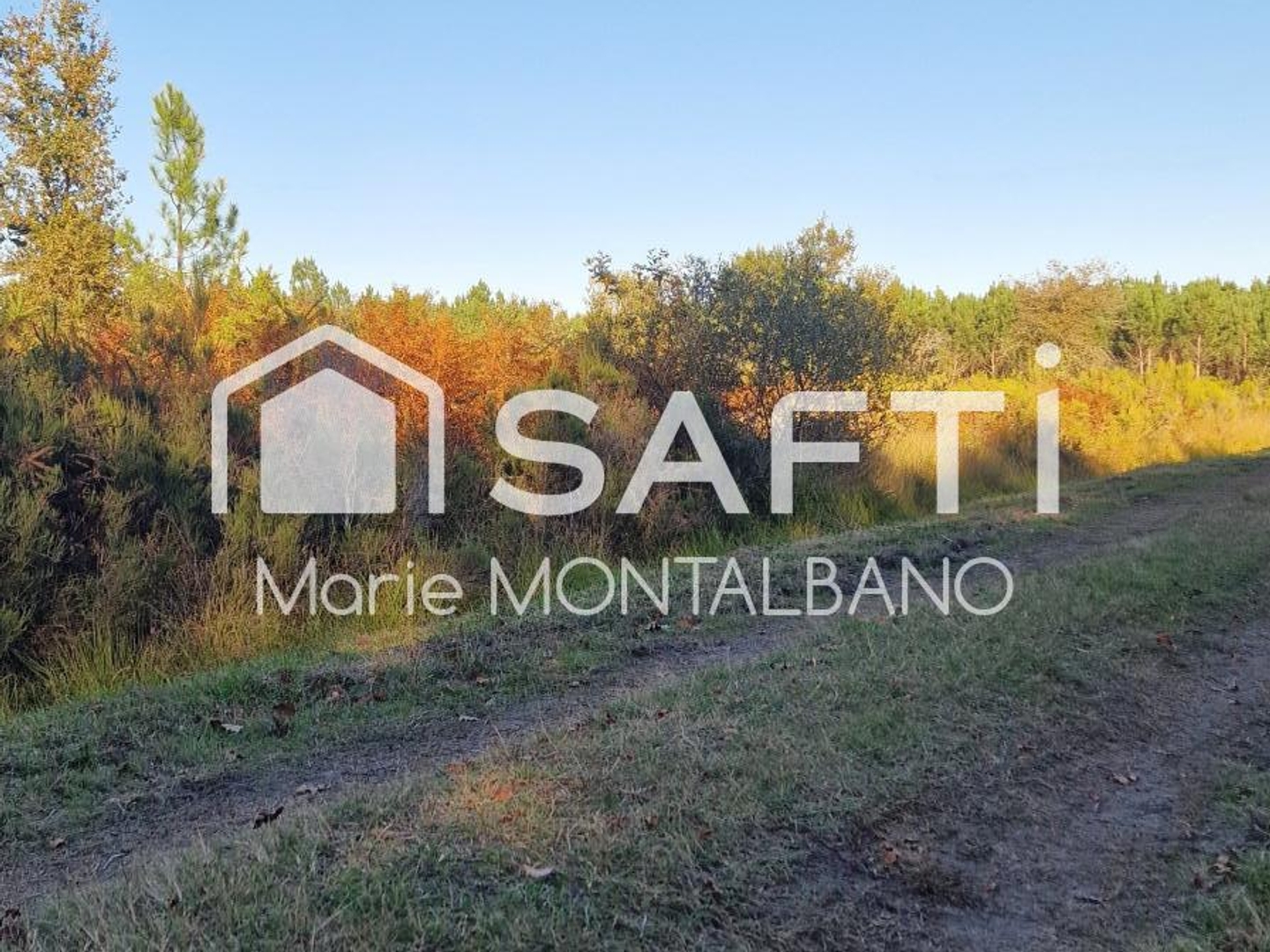 Terrain à vendre - 80660m2 - Biganos (33380)