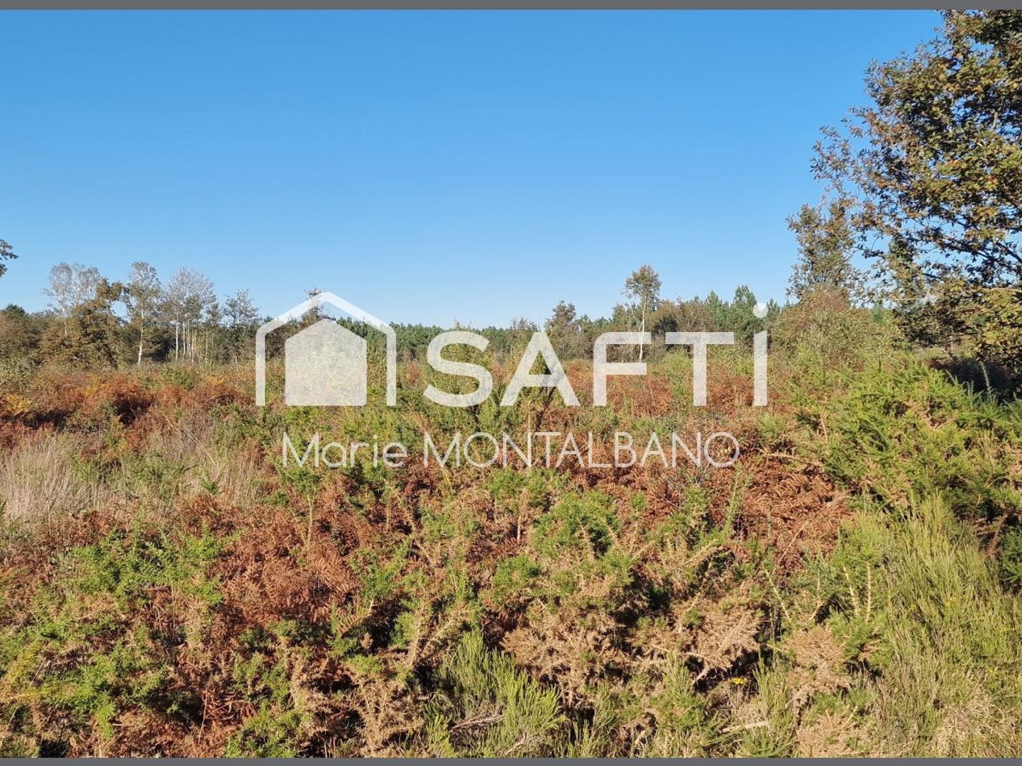 Terrain à vendre - 80660m2 - Biganos (33380)