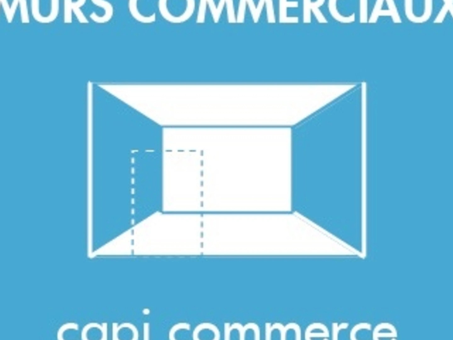 Commerce 20 pièces 700 m²