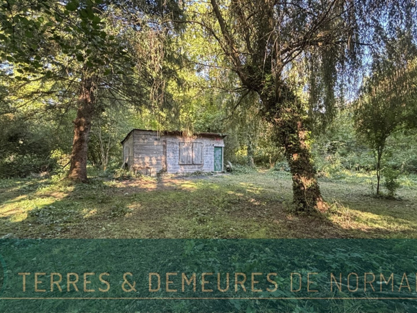 Terrain de loisir 3538 m²