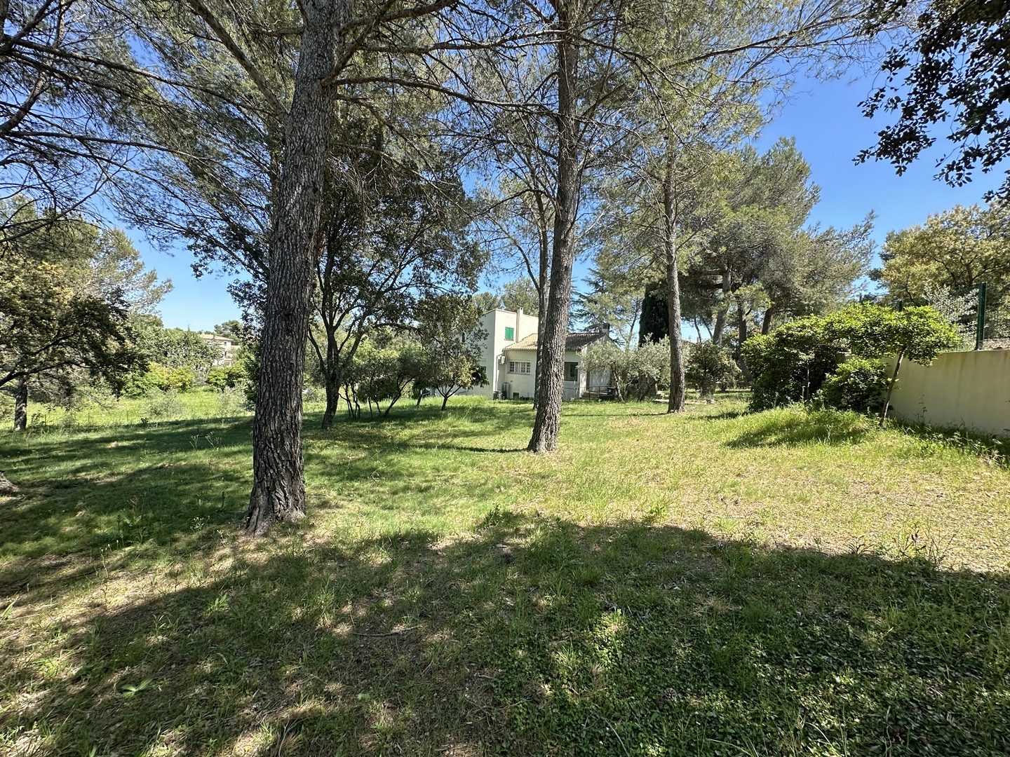 Maison Langlade 3100 m2 de terrain sur la hauteur