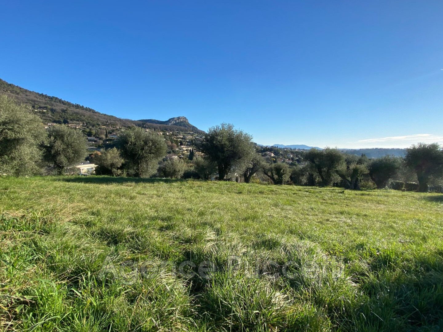 vente terrain à lotissement