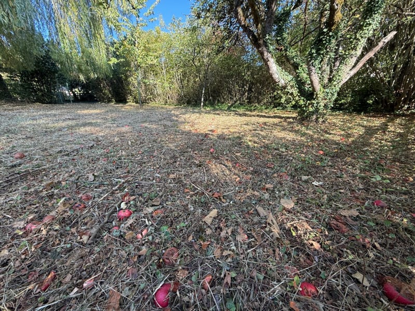 Maison à vendre - 7 pièces - 175m2 - Hagondange (57300)