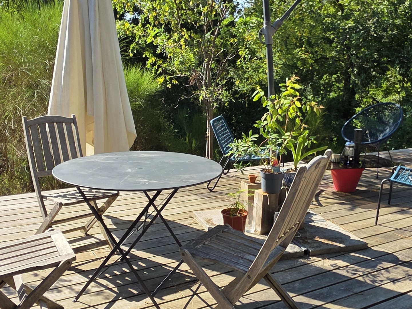 Maison à vendre - 4 pièces - 163m2 - Biscarrosse (40600)