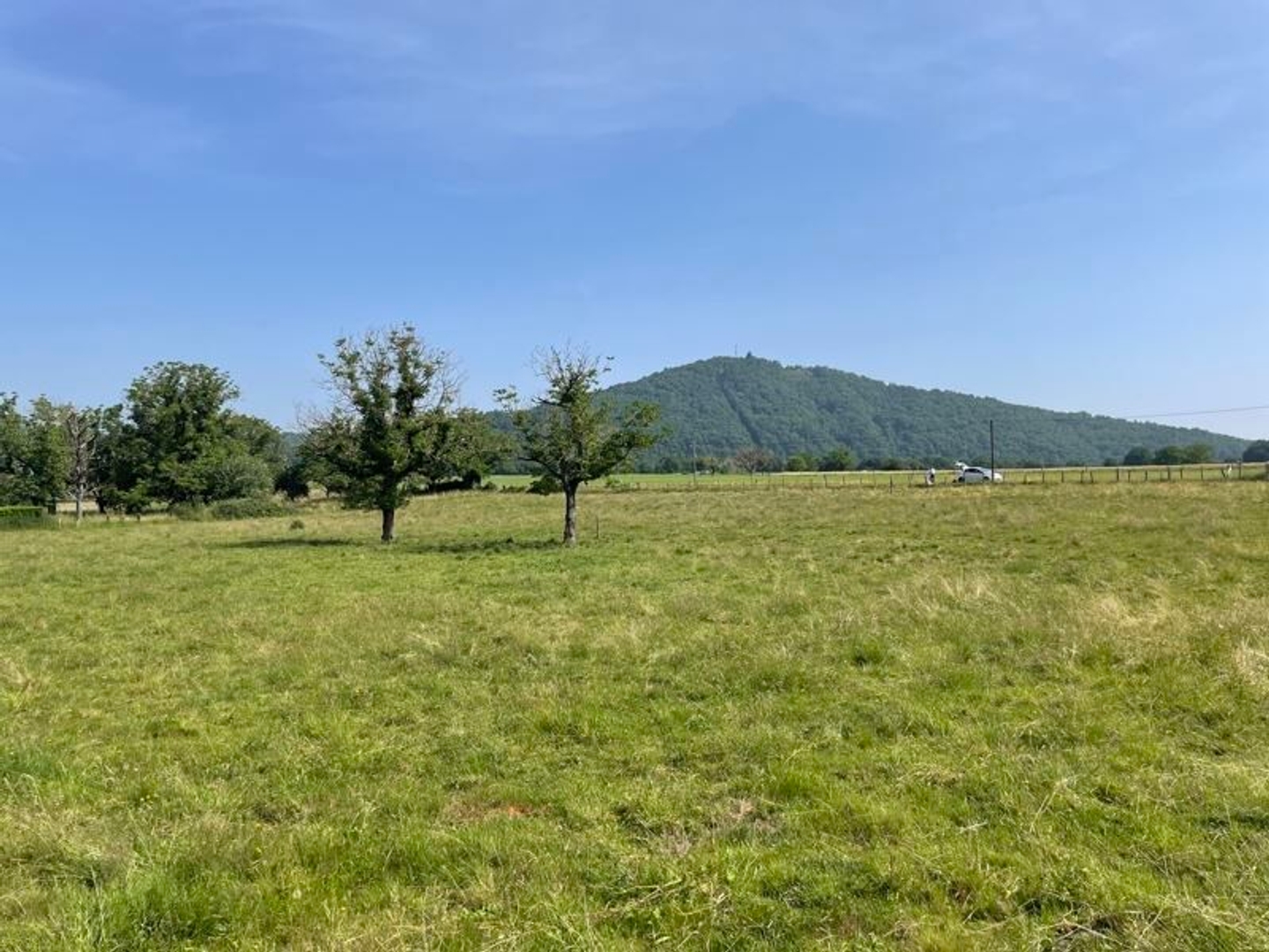 Terrain à vendre - 1910m2 - Monceaux-Sur-Dord... (19400)