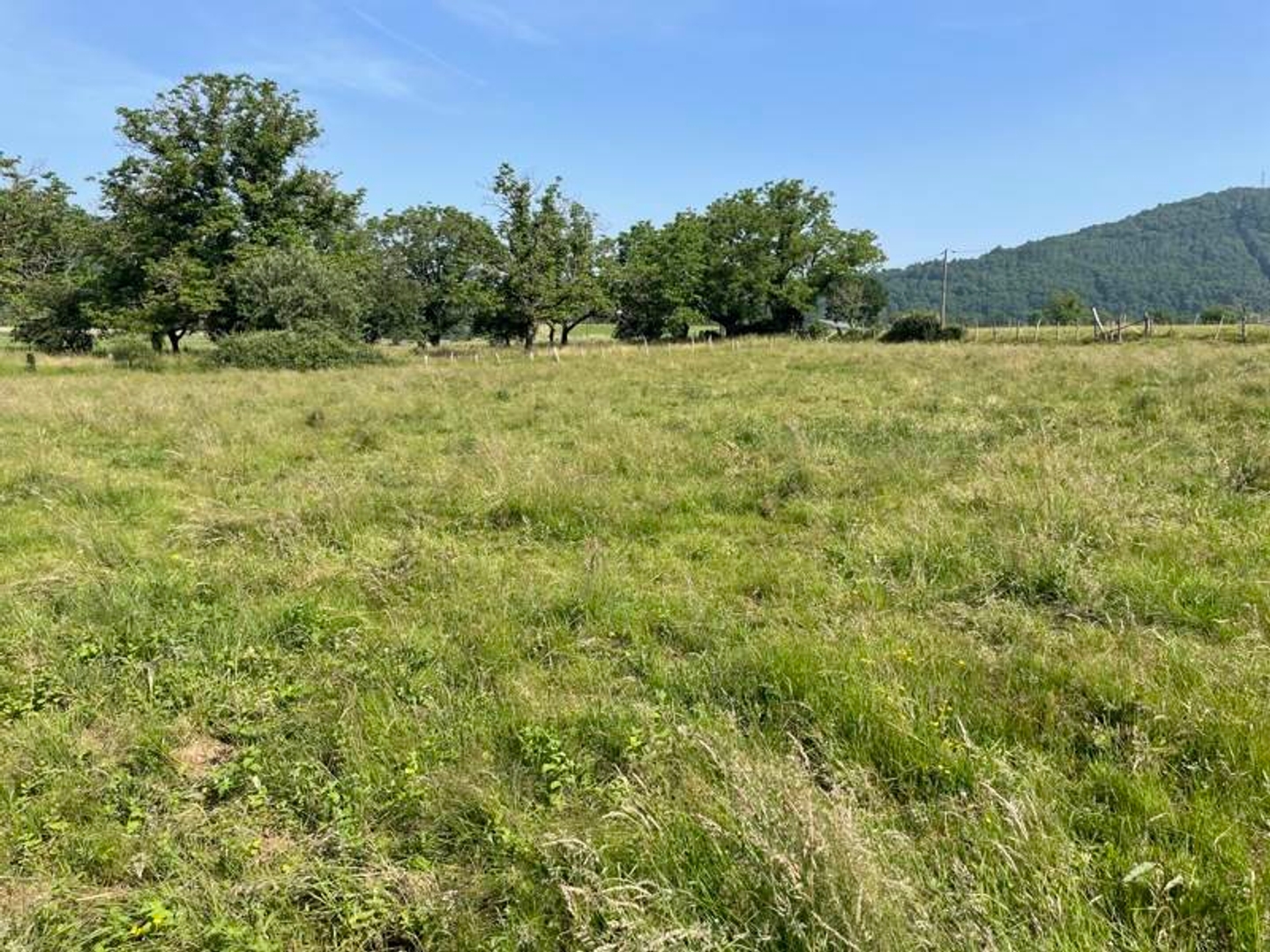 Terrain à vendre - 1910m2 - Monceaux-Sur-Dord... (19400)