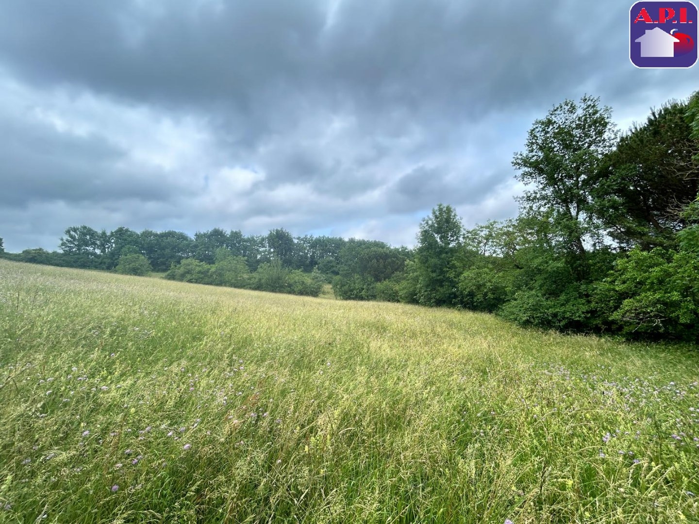 Immeuble à vendre - 3 pièces - 254m2 - Chalabre (11230)