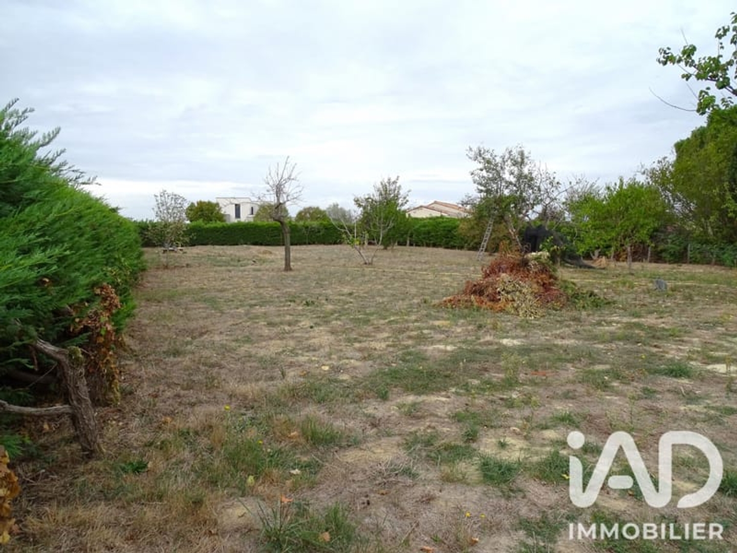 Terrain 1167 m²