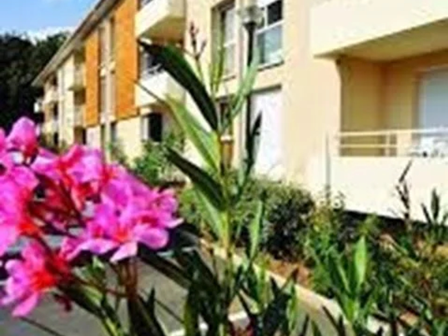 Appartement 2 pièces 33 m²