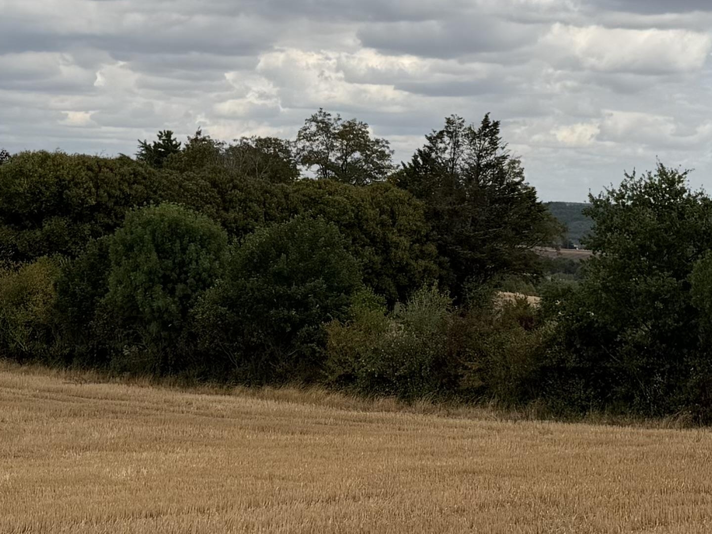 Terrain à vendre - 1800m2 - Labéjan (32300)
