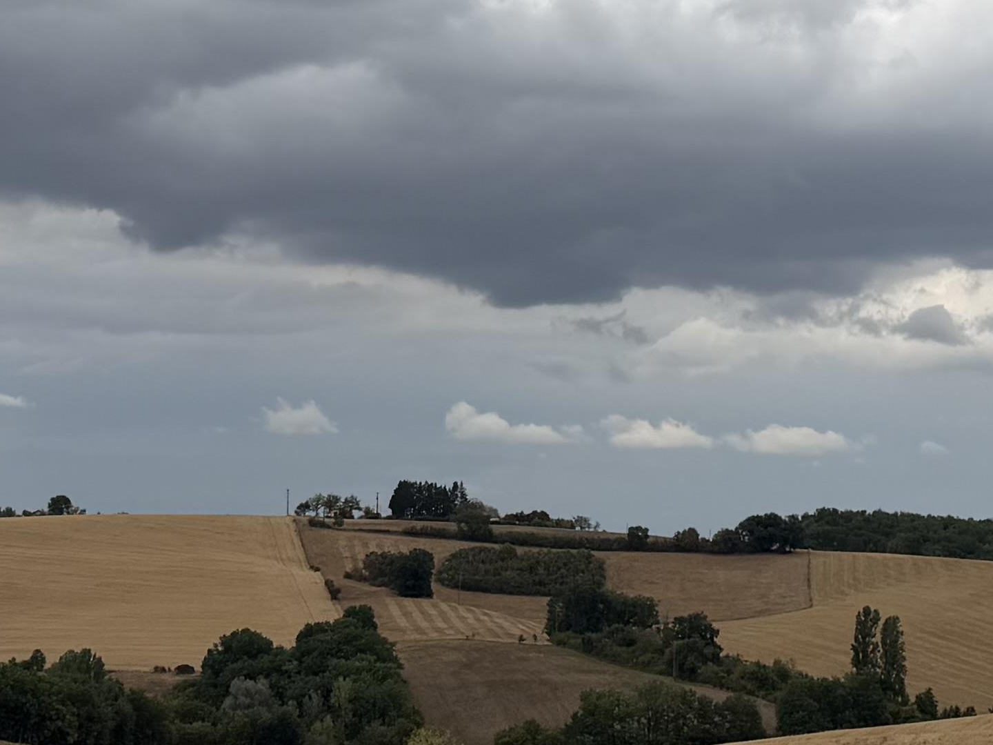 Terrain à vendre - 1800m2 - Labéjan (32300)