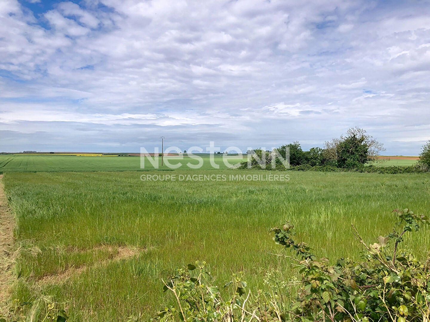 Terrain à vendre - 1703m2 - Montreuil (85200)