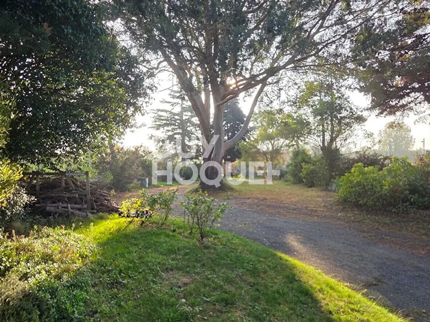 Terrain 2040 m²