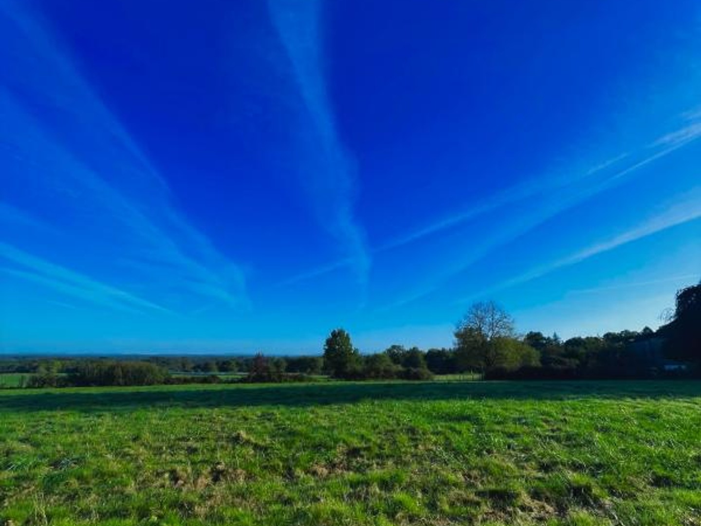 TERRAIN A BATIR - THIVIERS