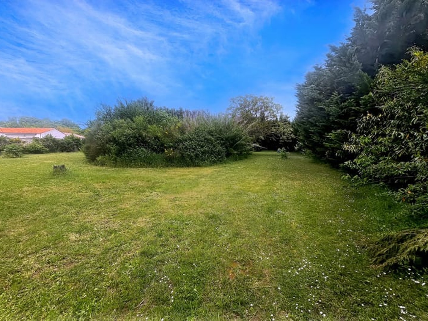 Terrain à vendre - 3131m2 - Ferrières (17170)
