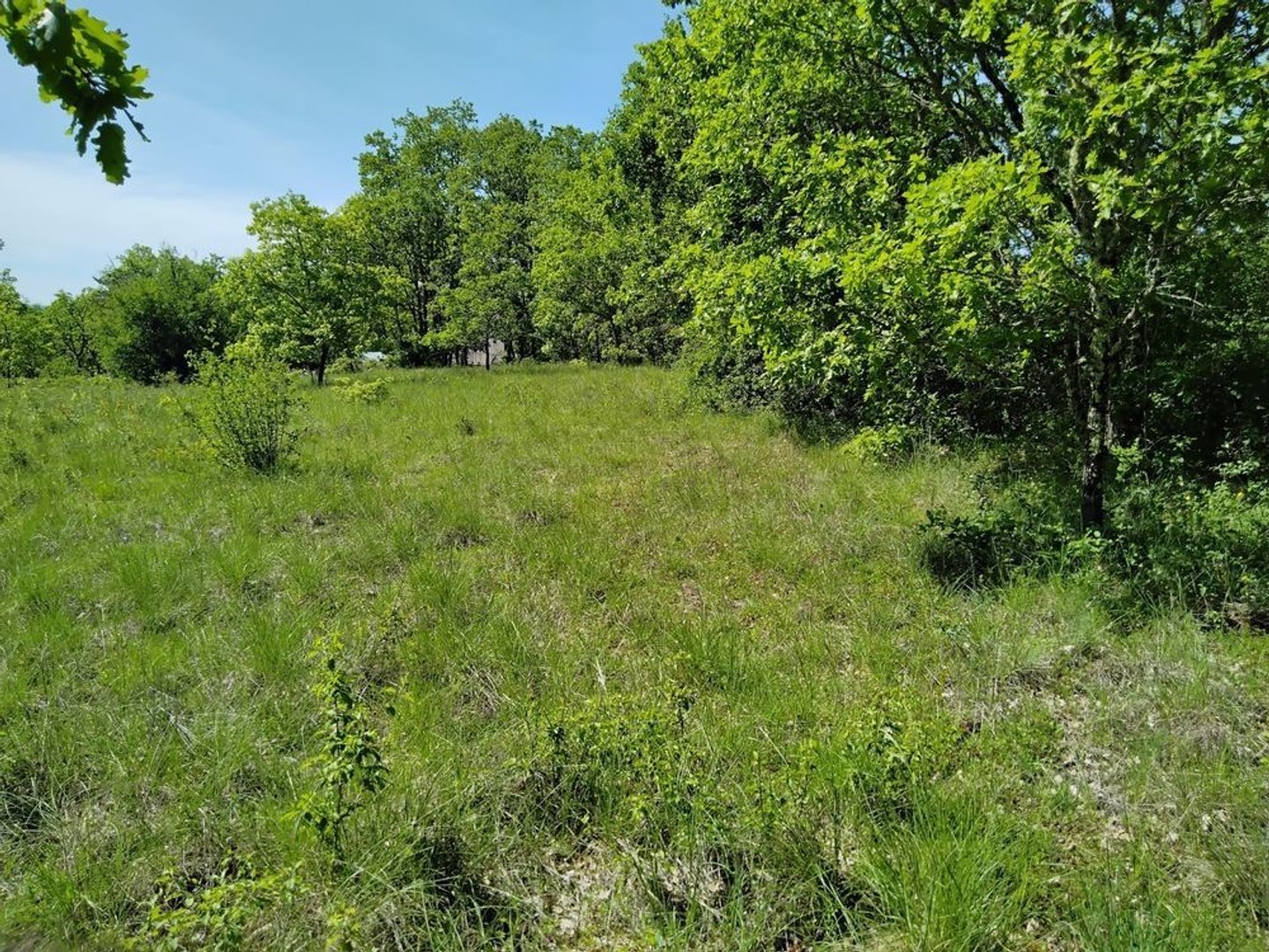 Grand terrain à bâtir à 20 min de Cahors Est