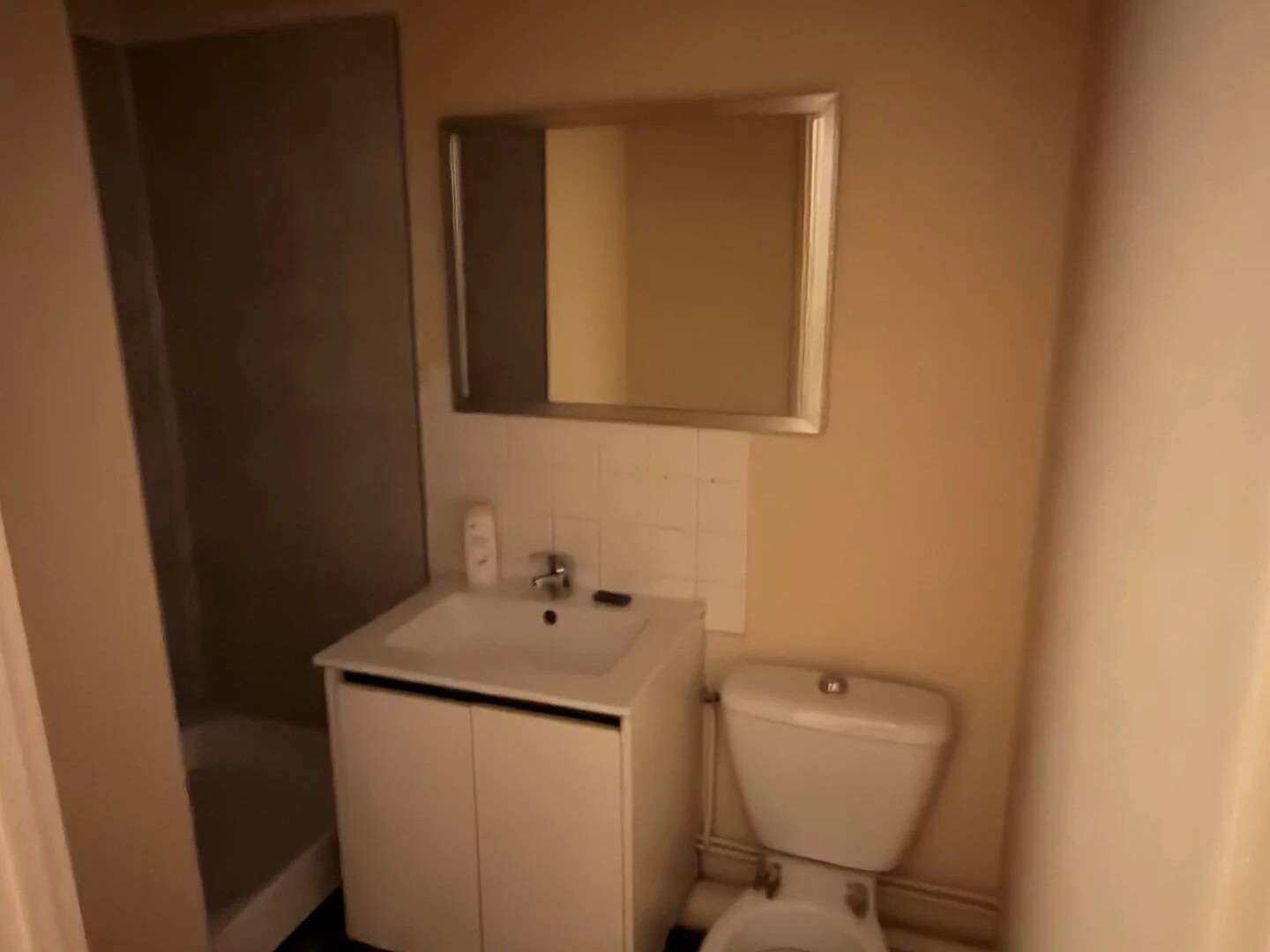 Appartement à vendre - 17m2 - Dijon (21000)