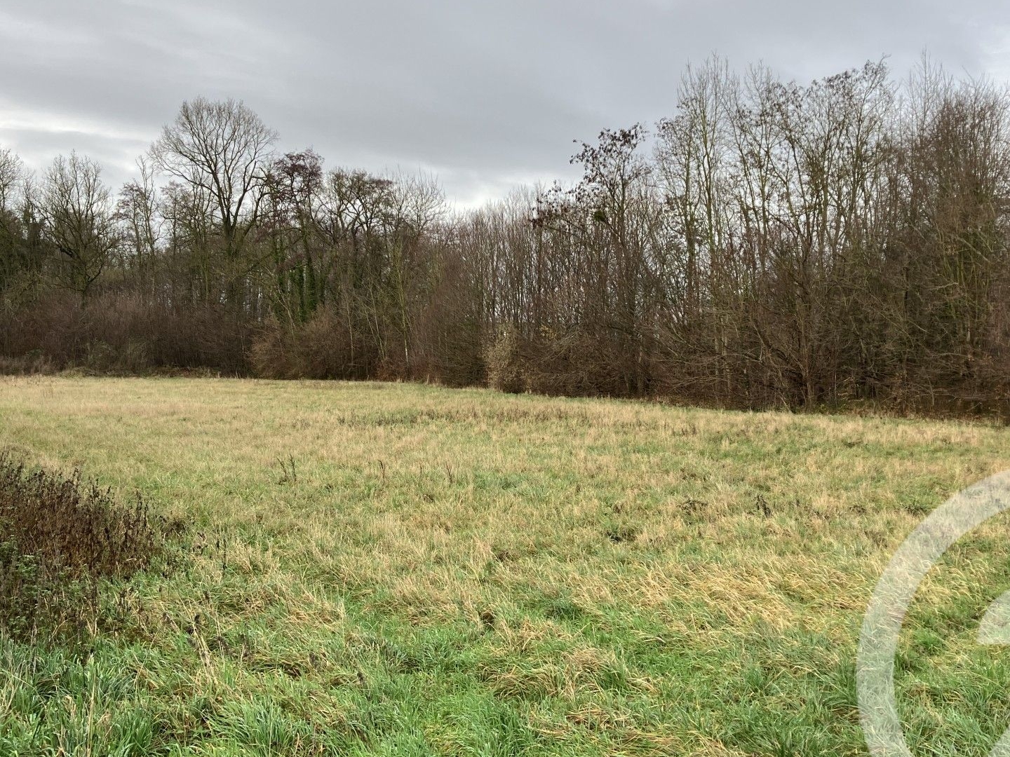 Terrain 5401 m²