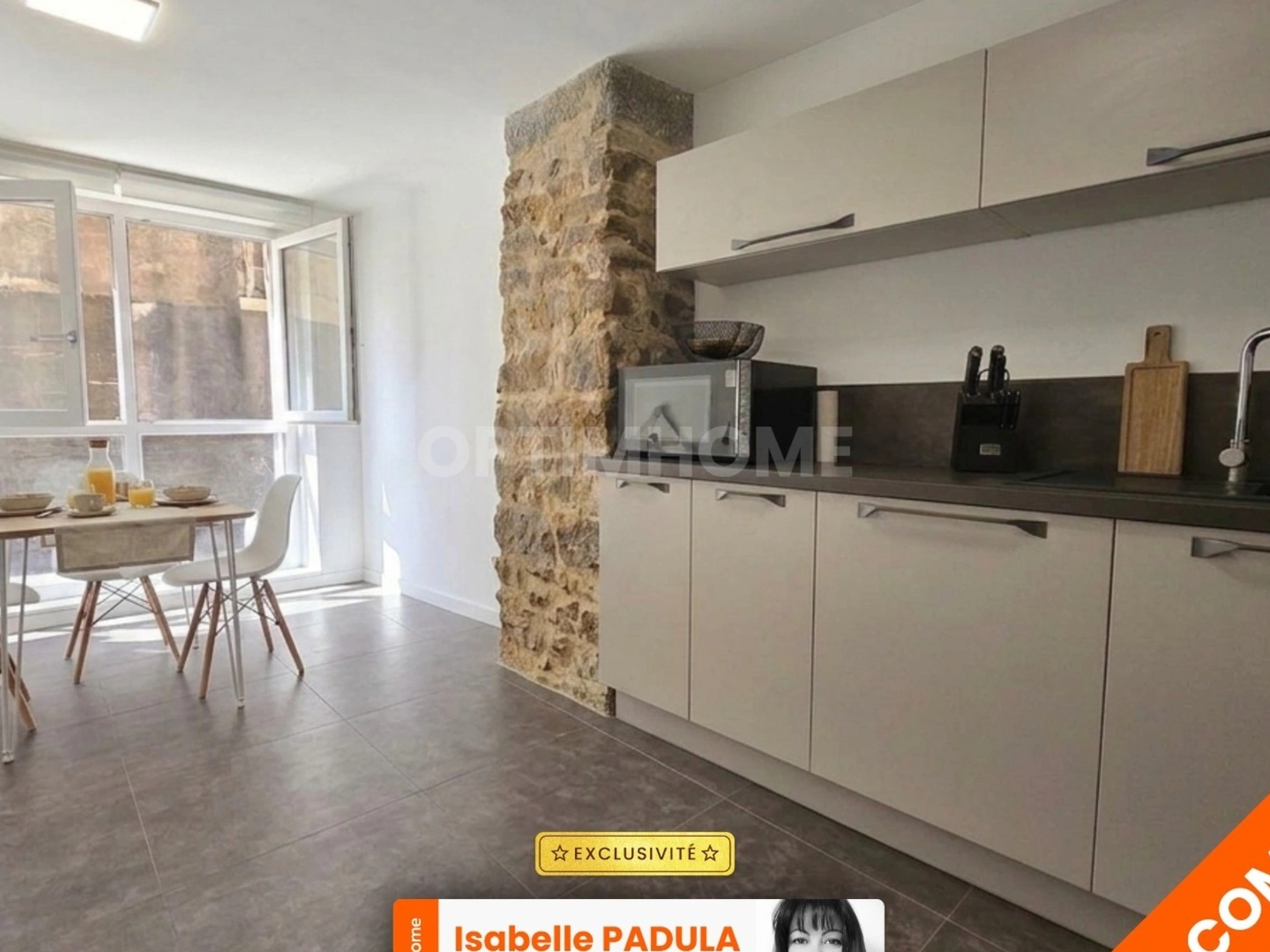 TREVOUX (01), à vendre Appartement de charme en duplex 100 m2, 3 chambres
