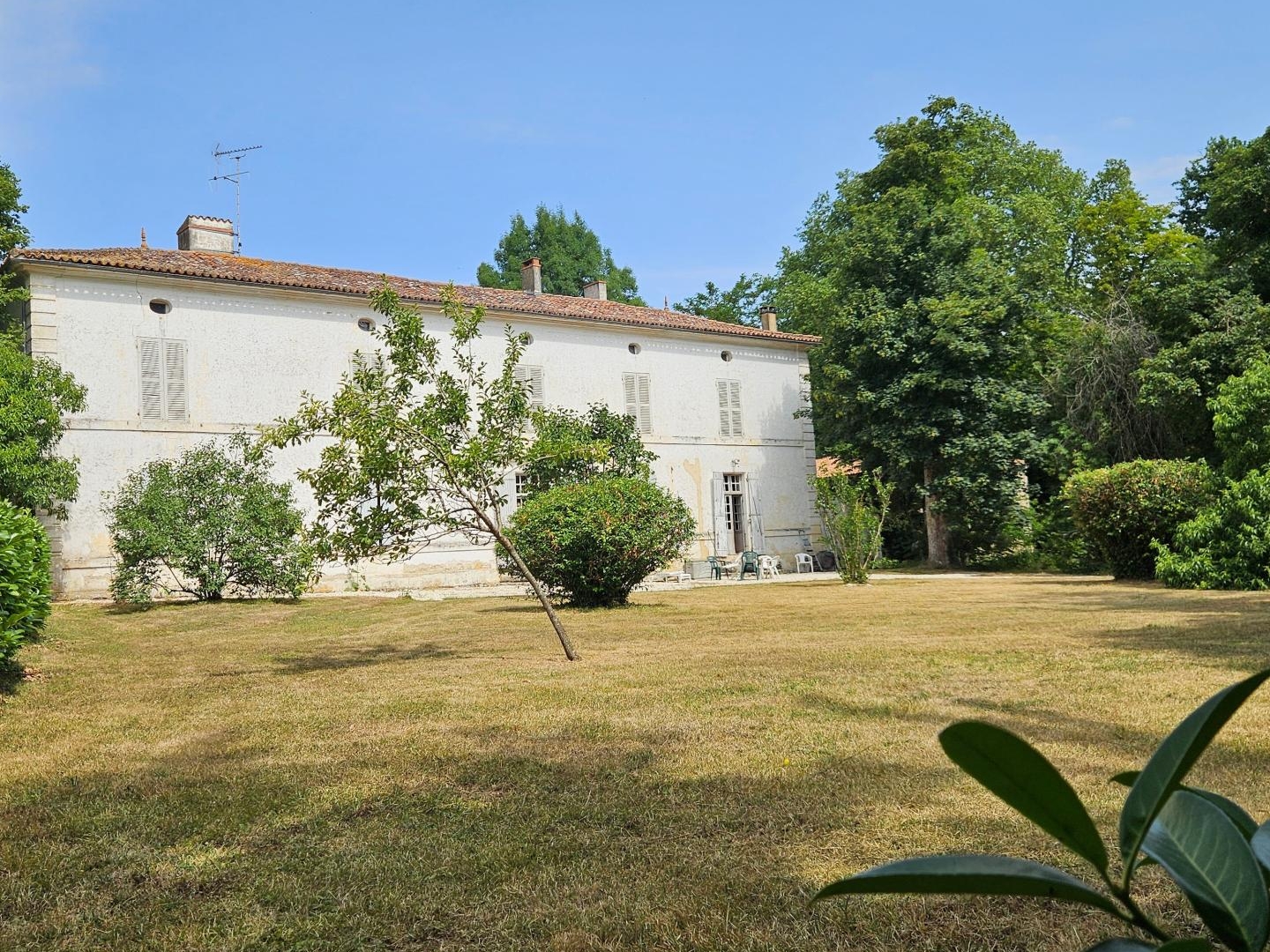 DOMAINE