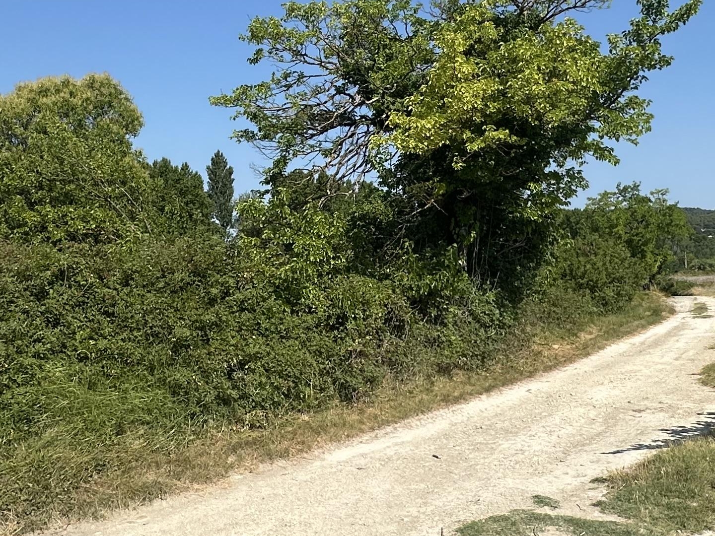 Terrain agricole 223 m²