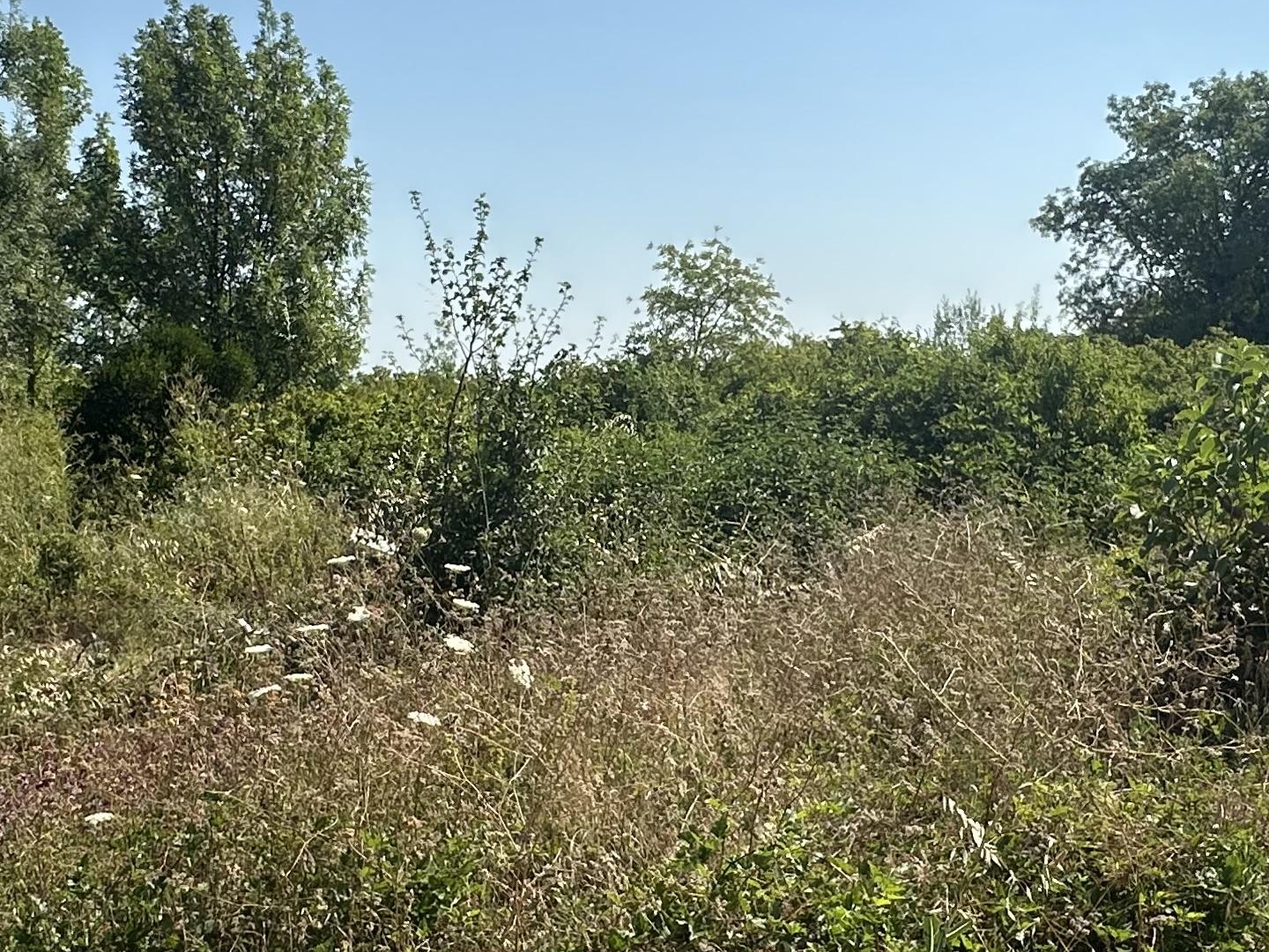 Terrain à vendre - 223m2 - Laudun-L'ardoise (30290)