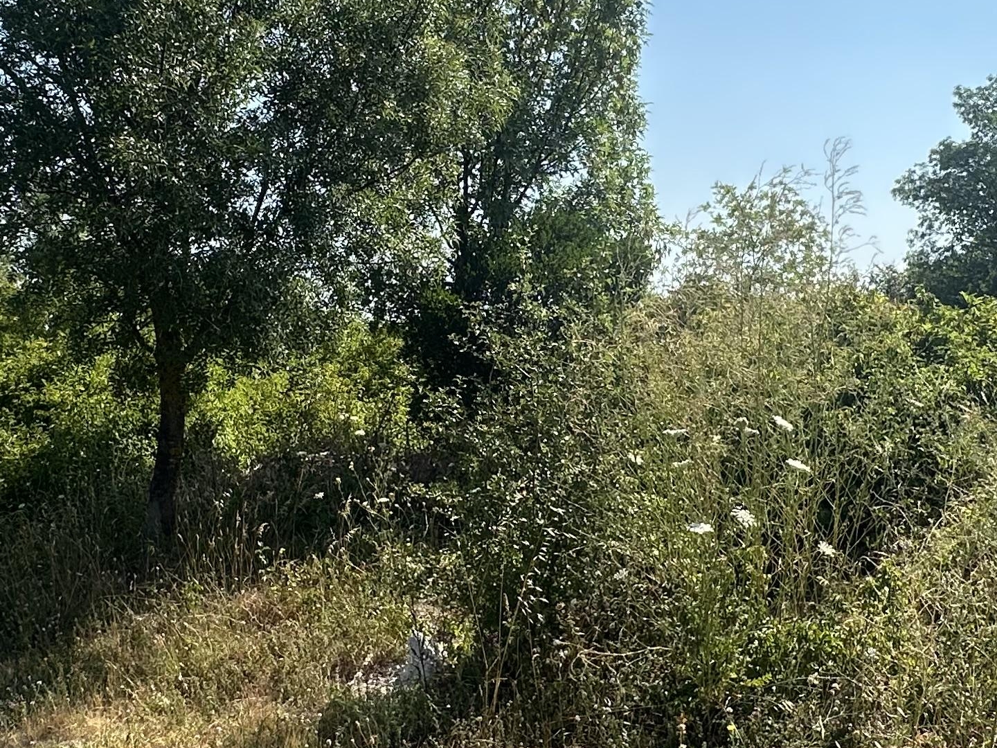 Terrain à vendre - 223m2 - Laudun-L'ardoise (30290)