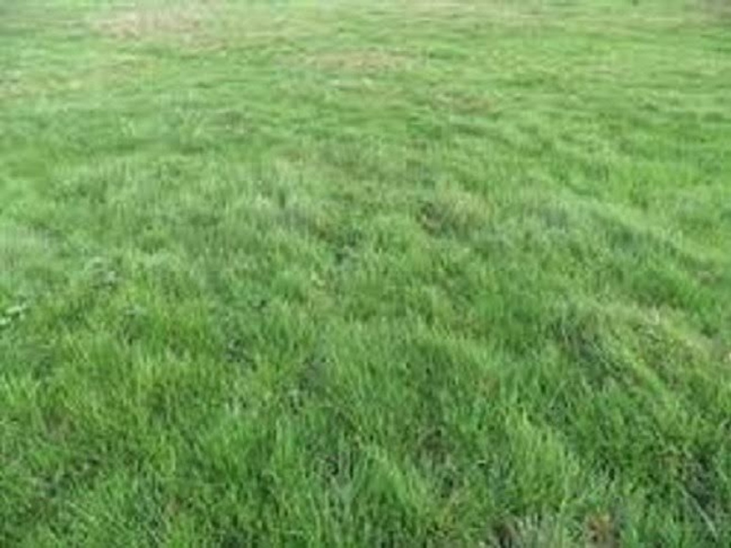 Terrain 945 m²