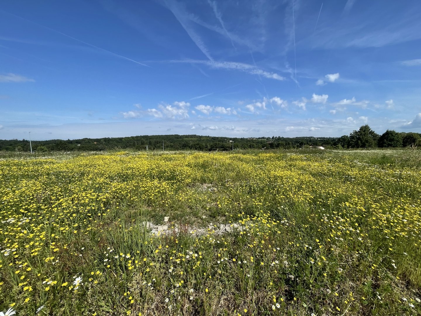 Terrain constructible