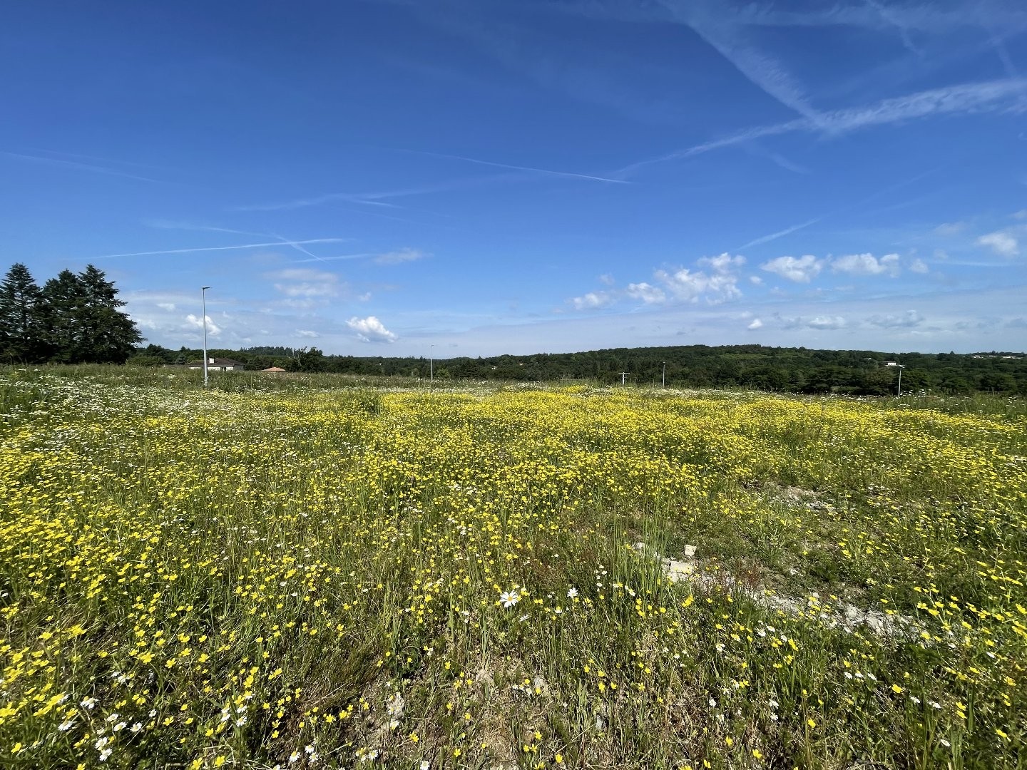 Terrain à vendre - 1267m2 - Feytiat (87220)