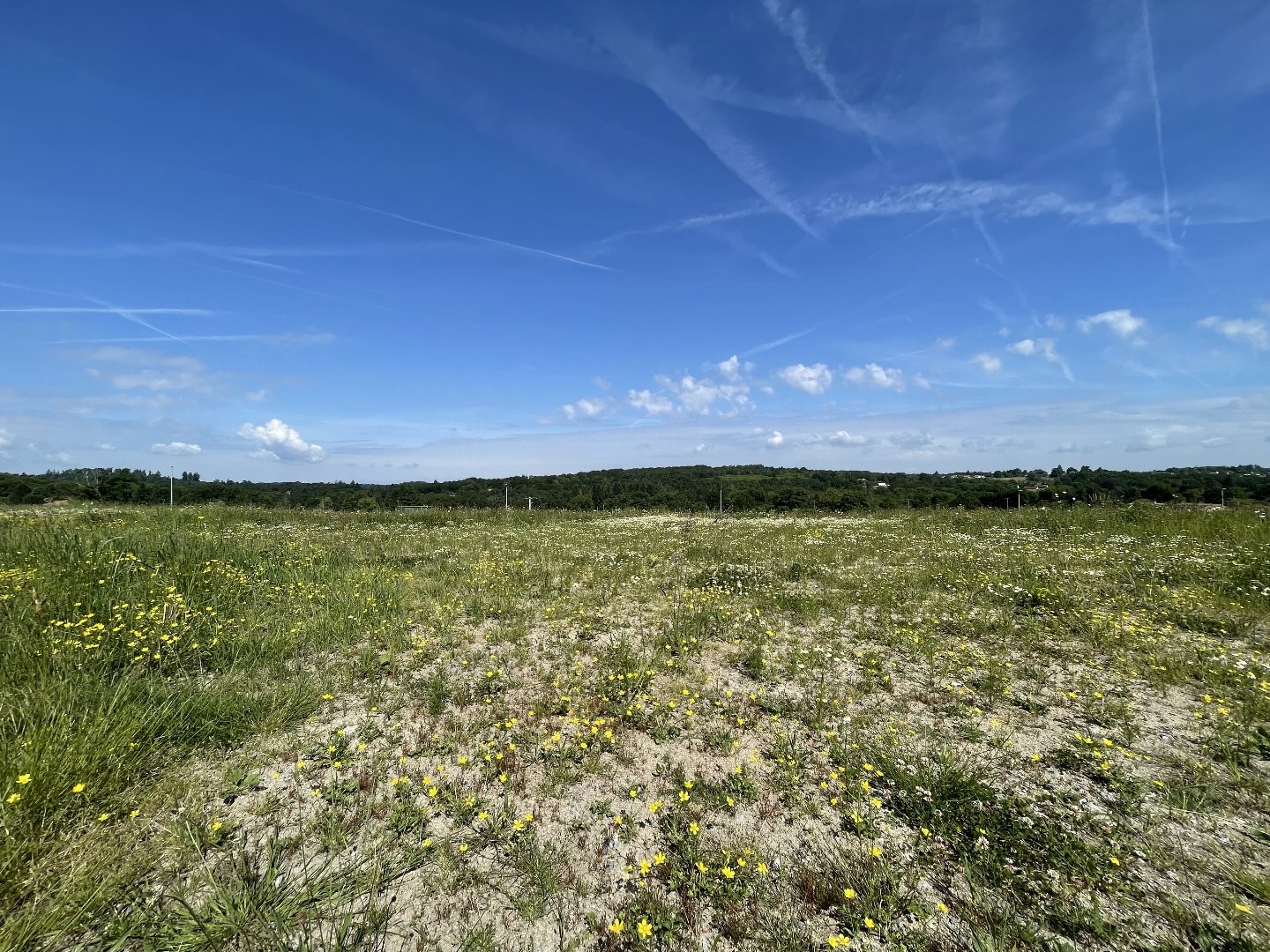 Terrain à vendre - 1267m2 - Feytiat (87220)