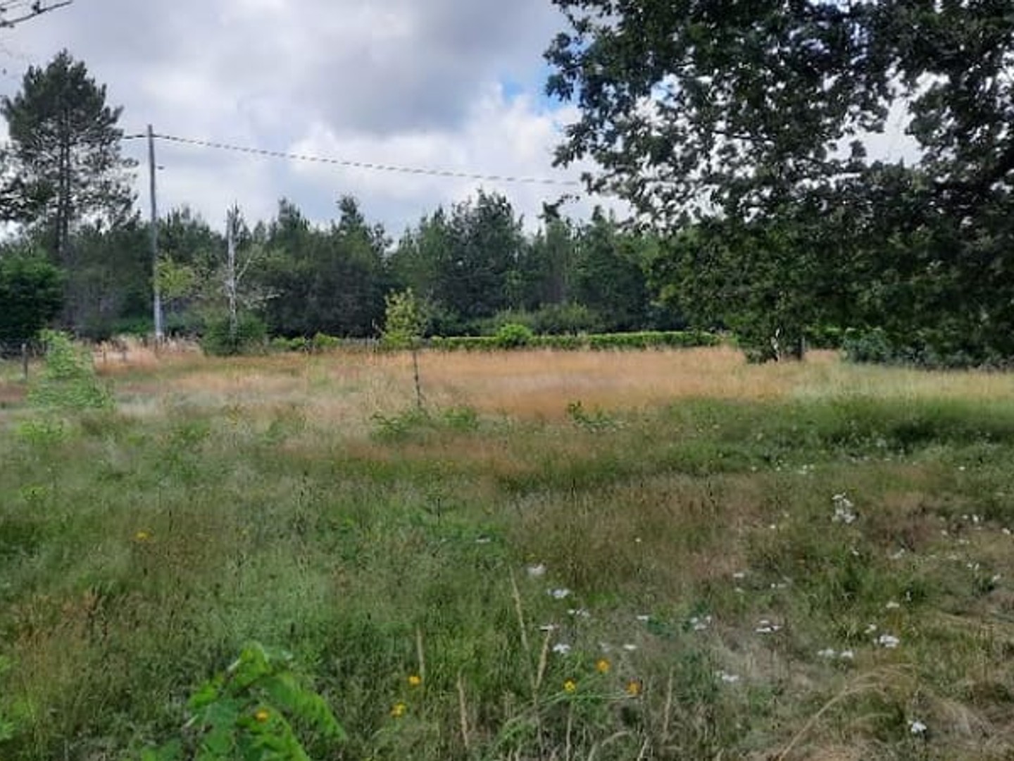 Maison 5 pièces 125 m²