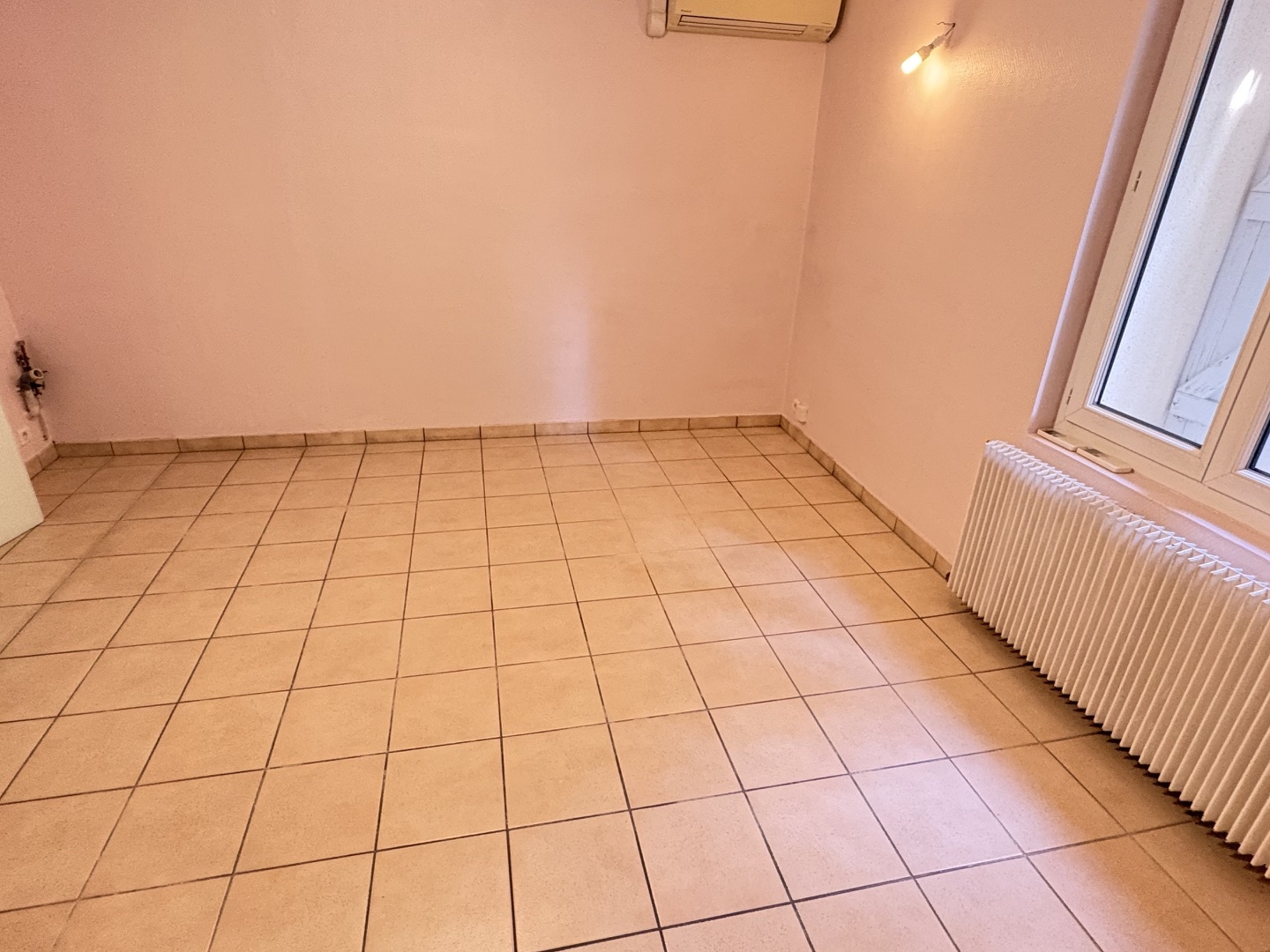Locaux à vendre - 106m2 - Frouzins (31270)