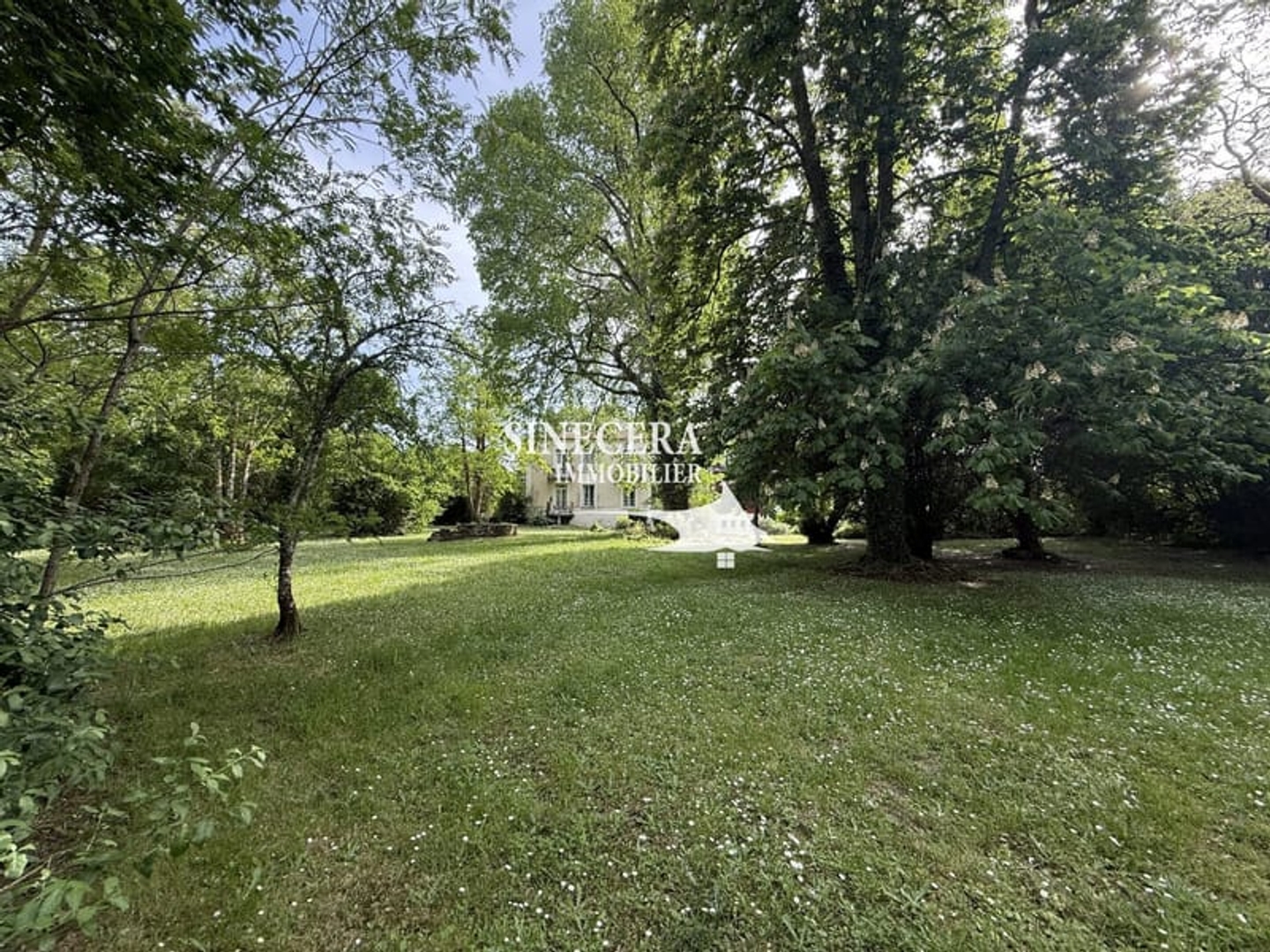 Maison à vendre - 1000m2 - Salles (33770)