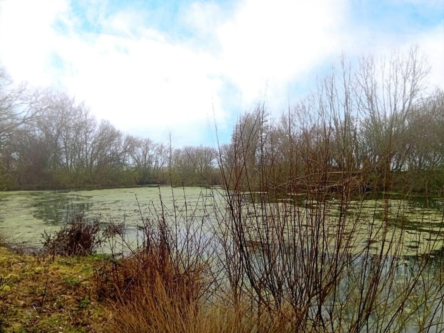 Terrain à vendre - 3127m2 - Boiry-Notre-Dame (62156)