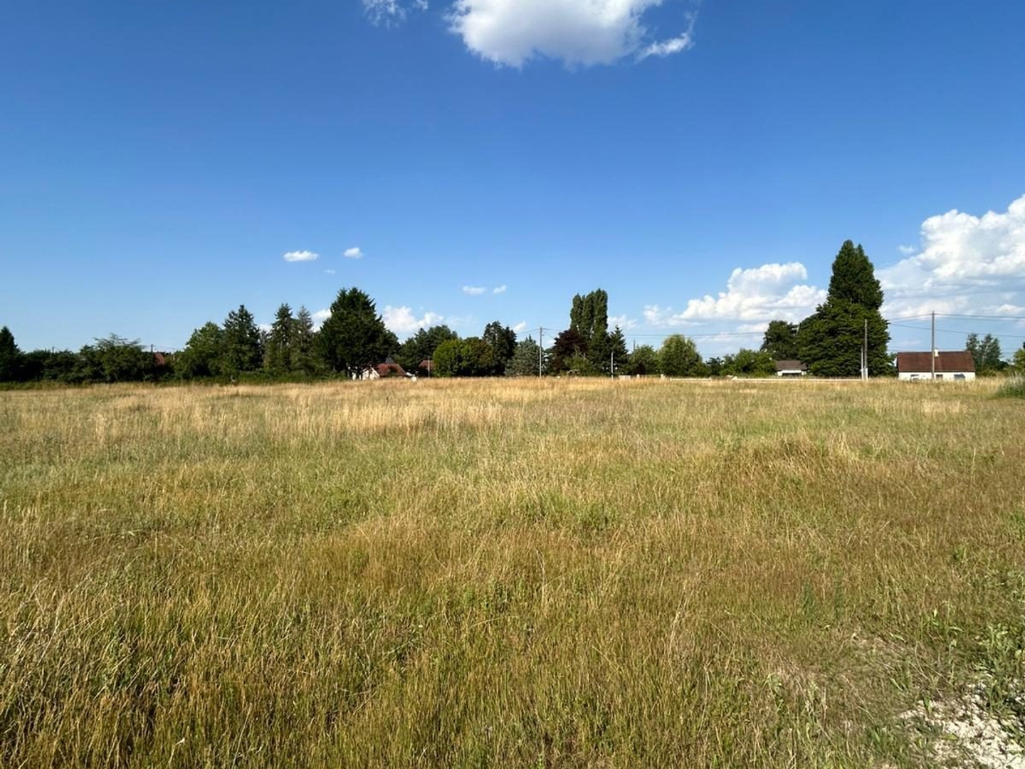Terrain en individuel 2007 m²