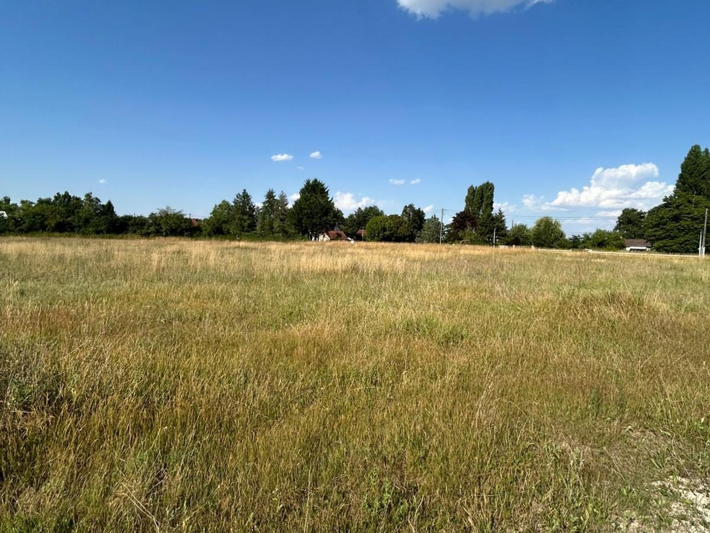 Terrain à vendre - 2007m2 - La Cour-Marigny (45260)