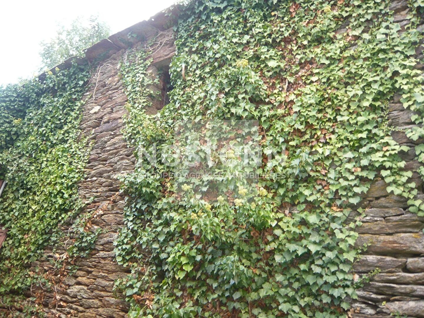 Ruine avec Terrain